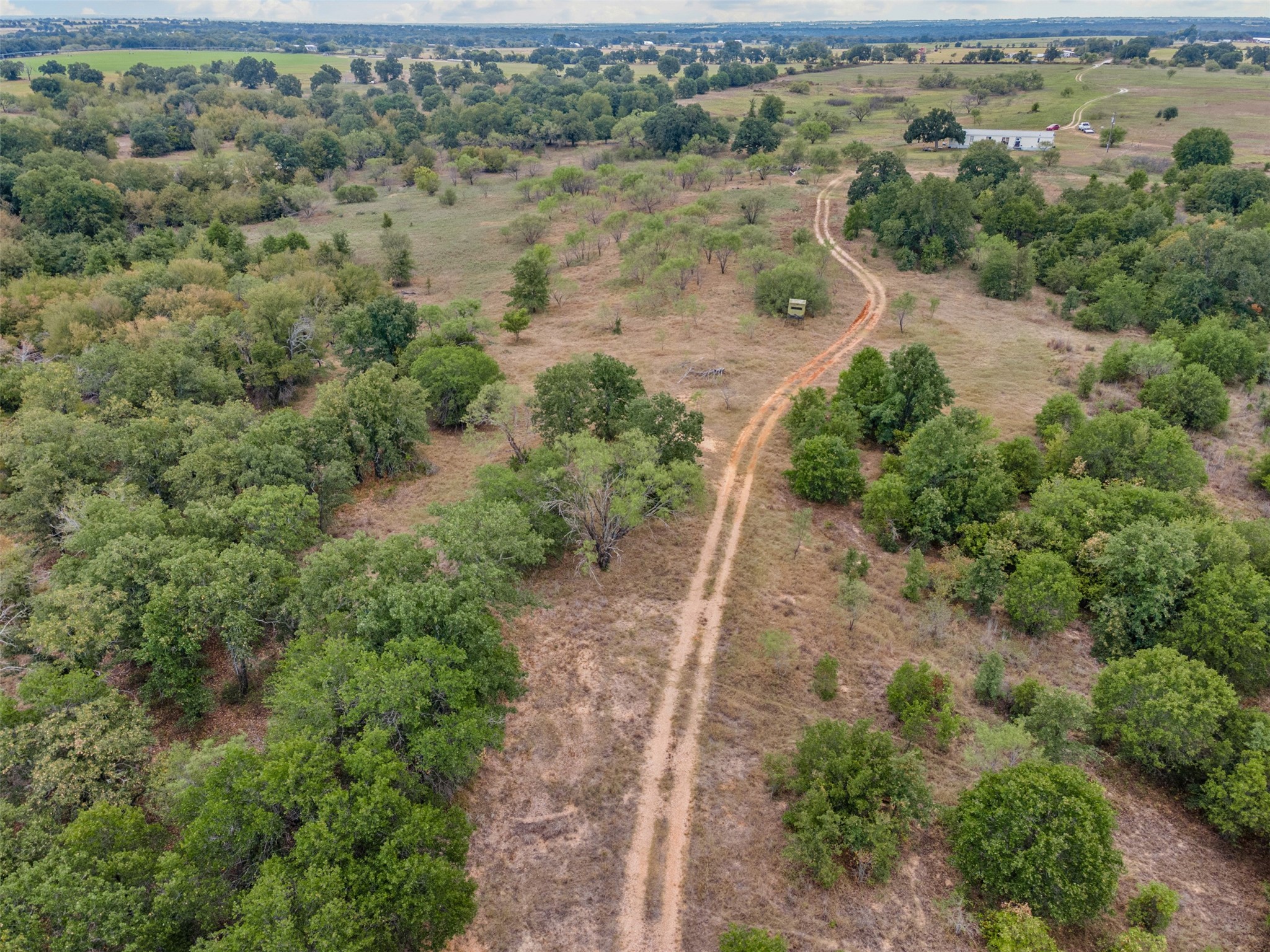 451 County Road 4975 Desdemona TX 76445