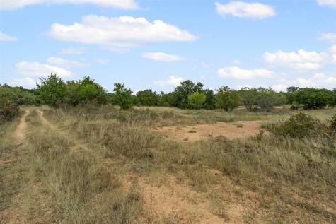 451 County Road 4975 Desdemona TX 76445