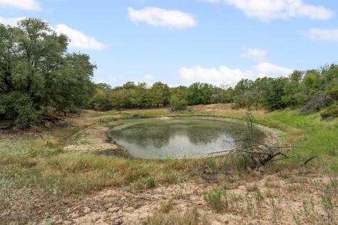 451 County Road 4975 Desdemona TX 76445