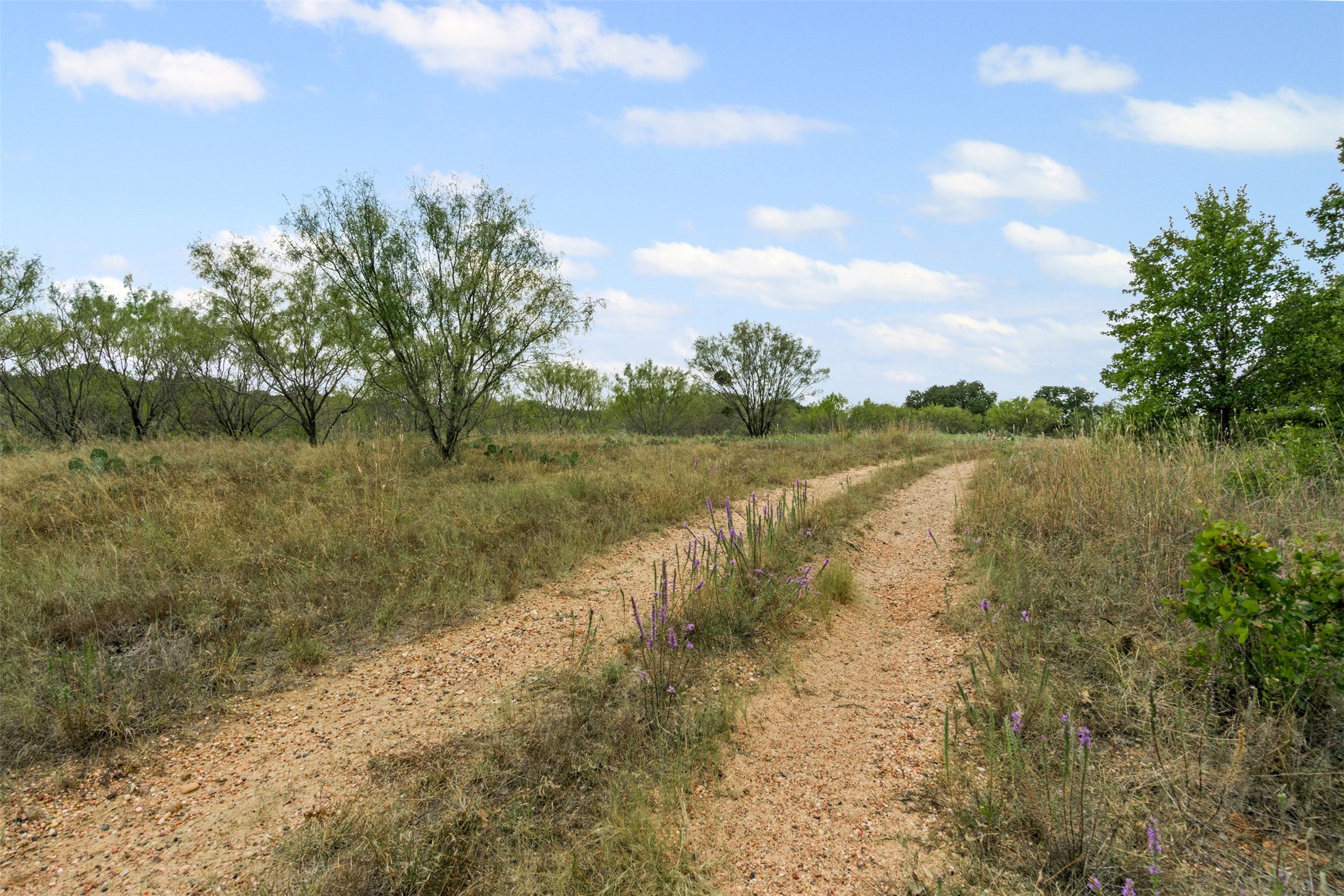 451 County Road 4975 Desdemona TX 76445