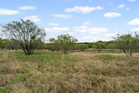 451 County Road 4975 Desdemona TX 76445