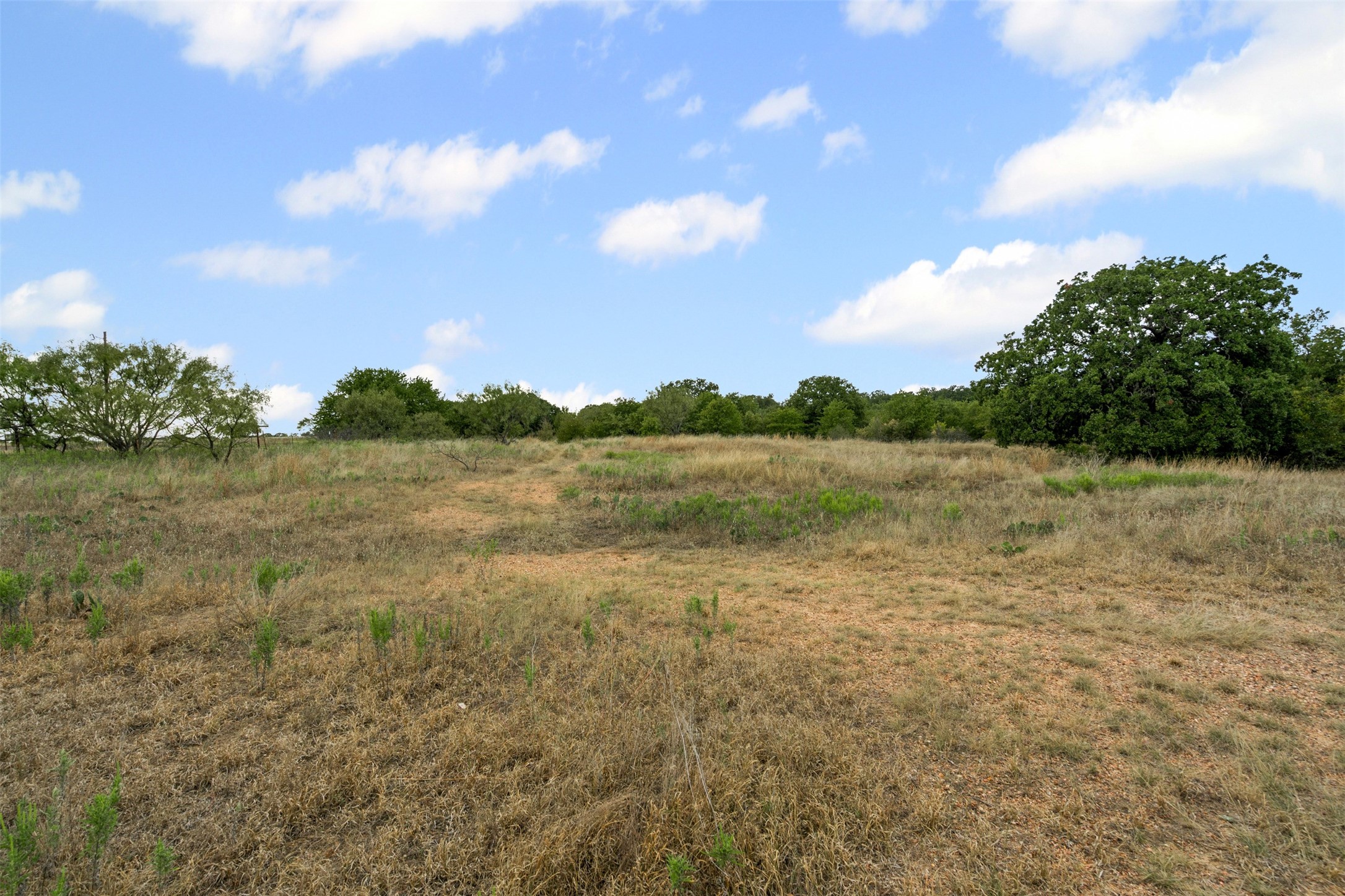 451 County Road 4975 Desdemona TX 76445