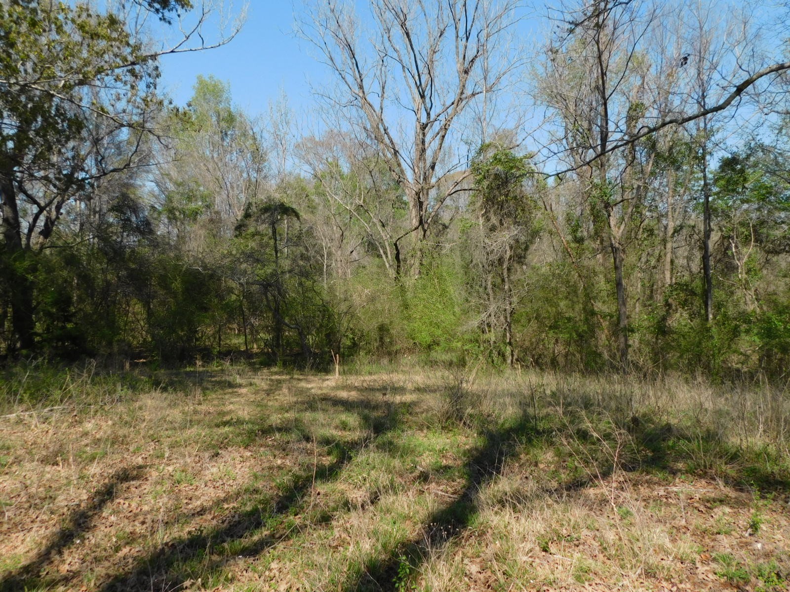 0 Cox Road Sarepta LA 71071
