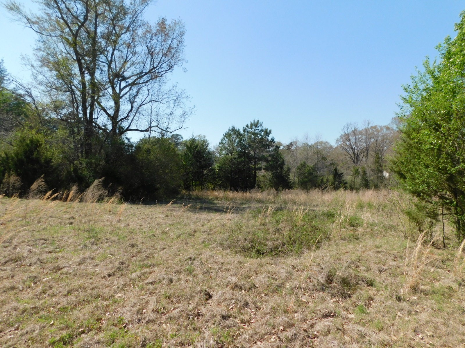 0 Cox Road Sarepta LA 71071