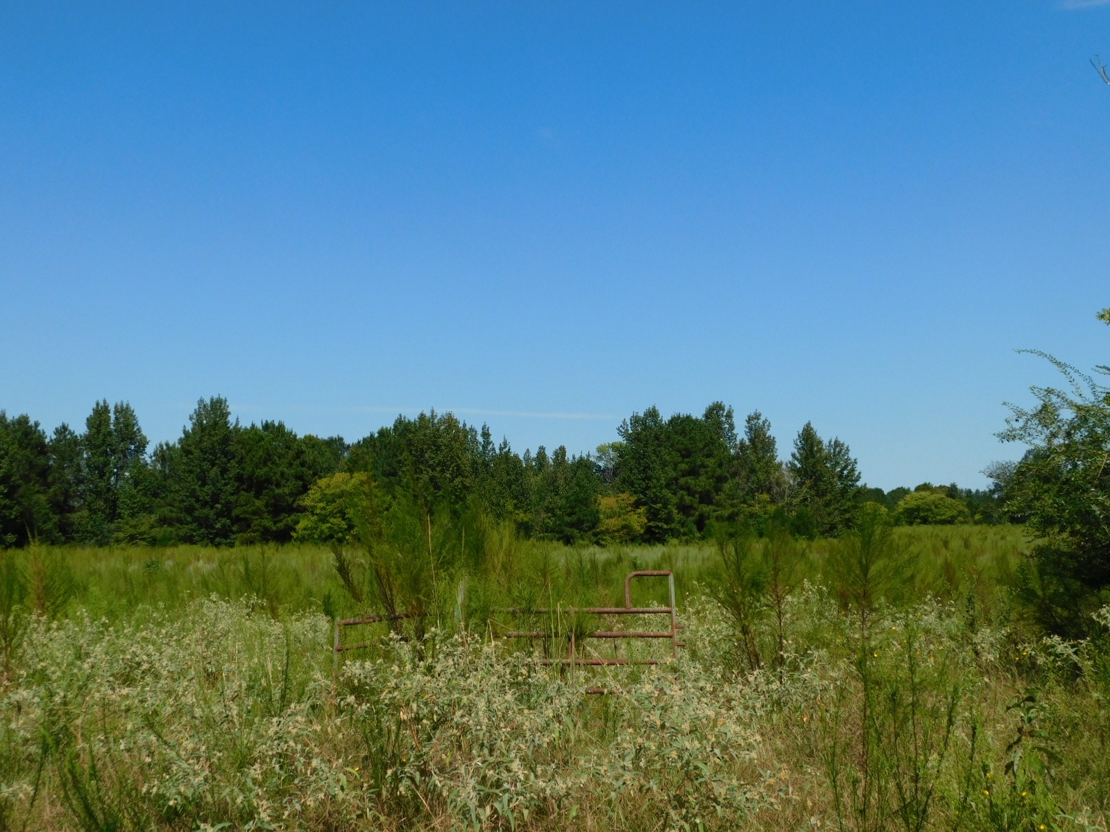 0 Cox Road Sarepta LA 71071