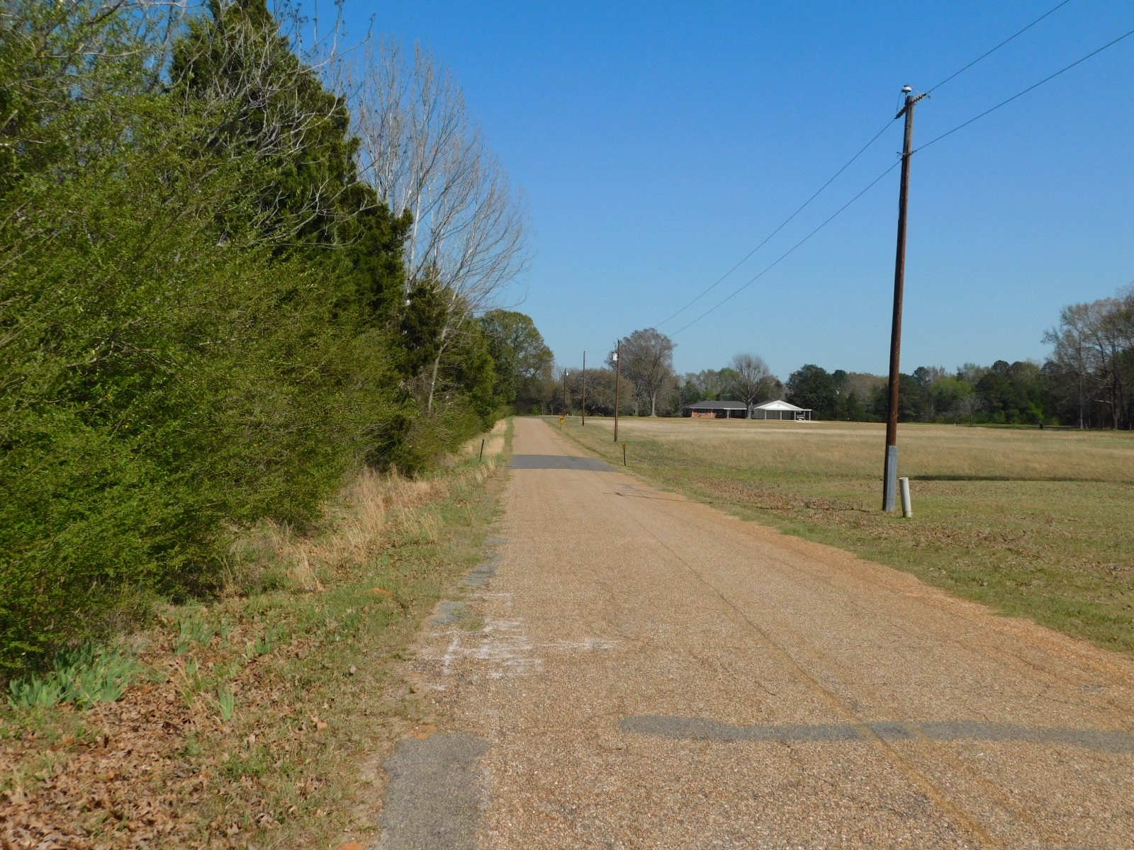 0 Cox Road Sarepta LA 71071