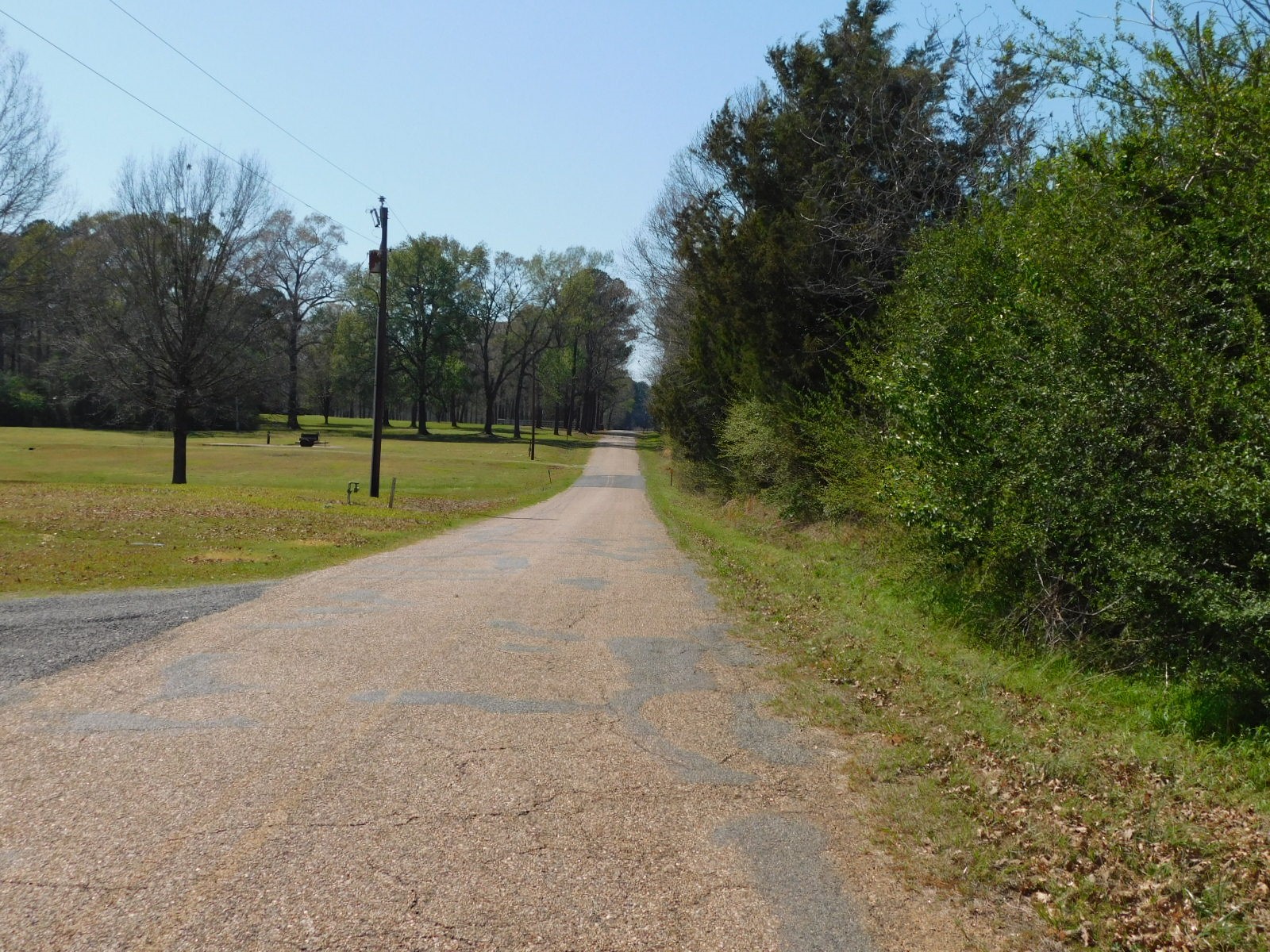 0 Cox Road Sarepta LA 71071