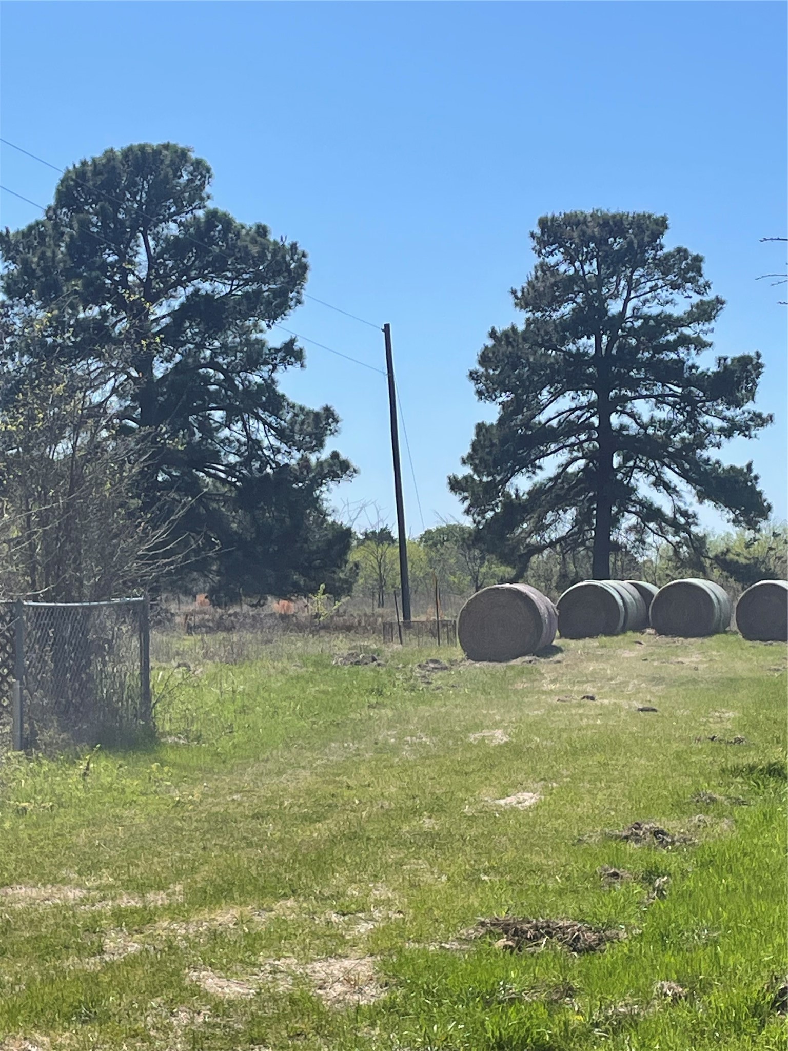 10026 SE County Road 4200 Kerens TX 75144