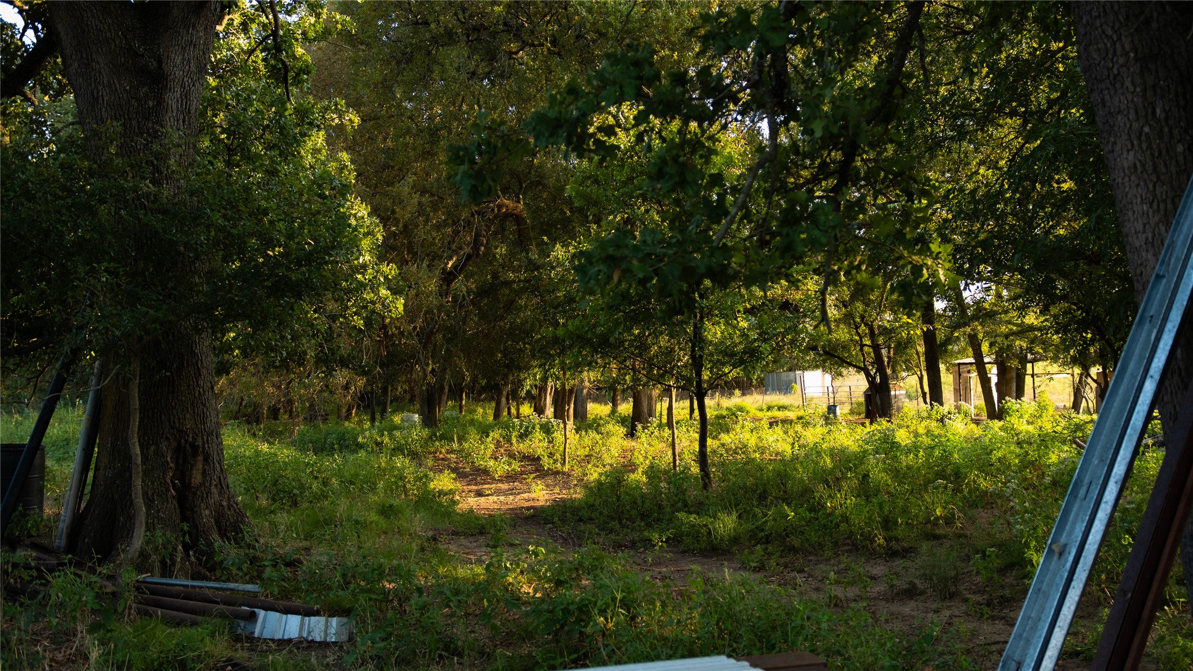157 Private Road 142 Covington TX 76636