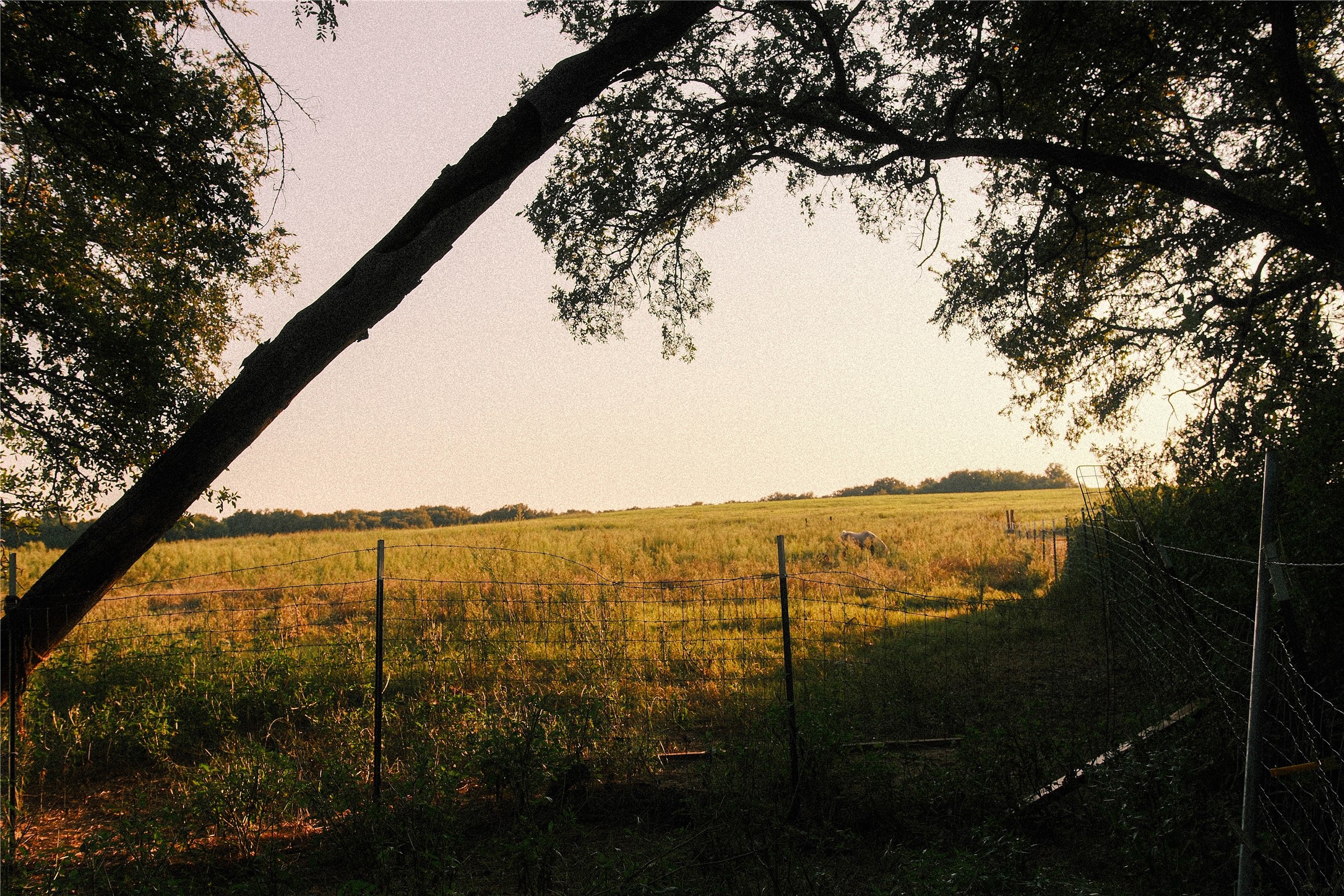 157 Private Road 142 Covington TX 76636
