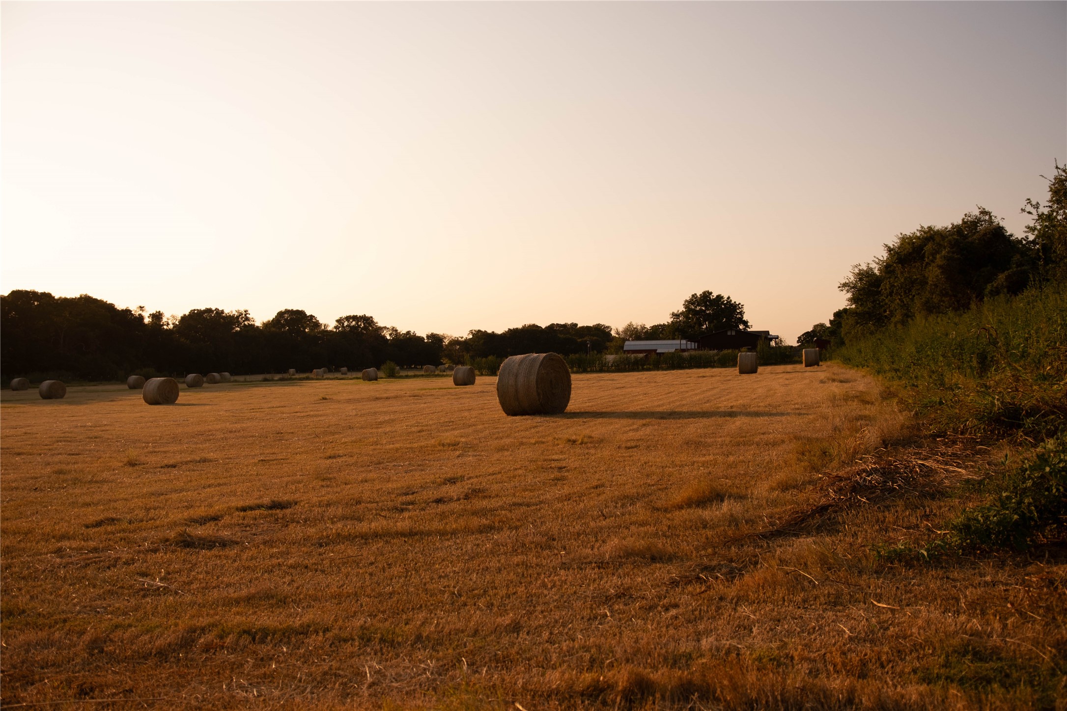 157 Private Road 142 Covington TX 76636