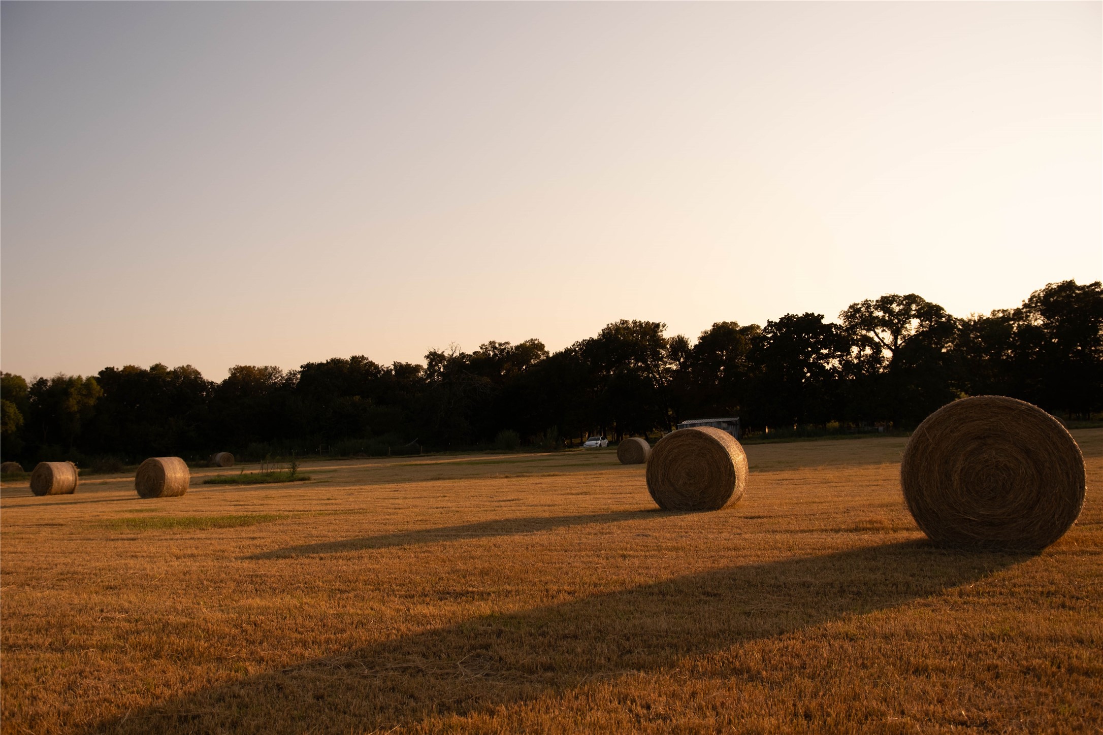 157 Private Road 142 Covington TX 76636