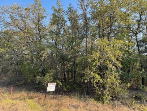 Tbd Comewell Court Runaway Bay TX 76426