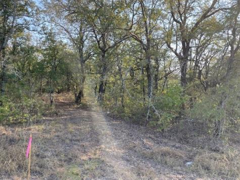 Tbd Comewell Court Runaway Bay TX 76426