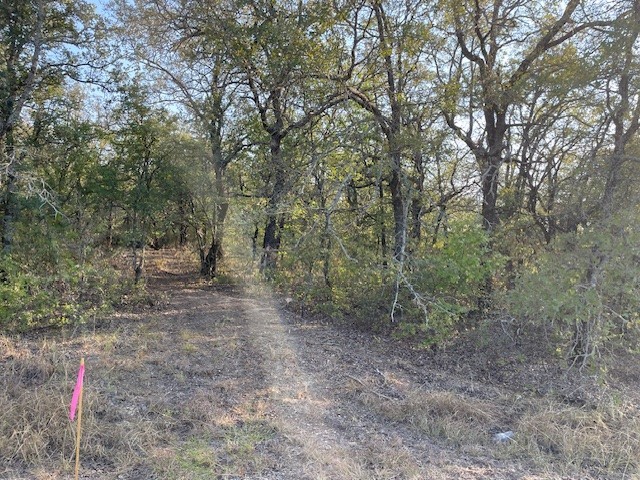 Tbd Comewell Court Runaway Bay TX 76426