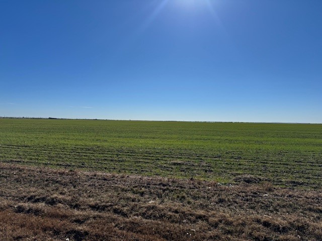 Tbd Highway 351 & Mesquite Lane Abilene TX 79601