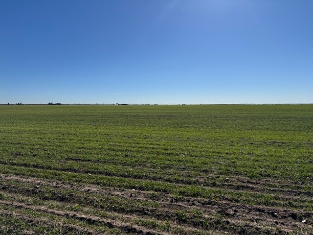 Tbd Highway 351 & Mesquite Lane Abilene TX 79601