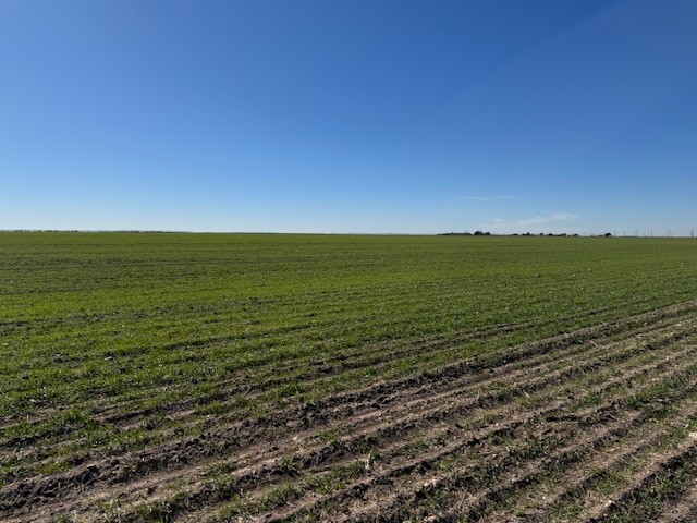 Tbd Highway 351 & Mesquite Lane Abilene TX 79601