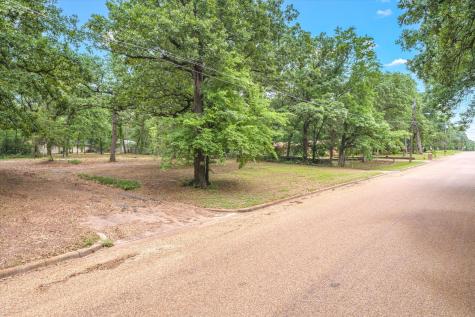 1106 Woodland Drive Canton TX 75103