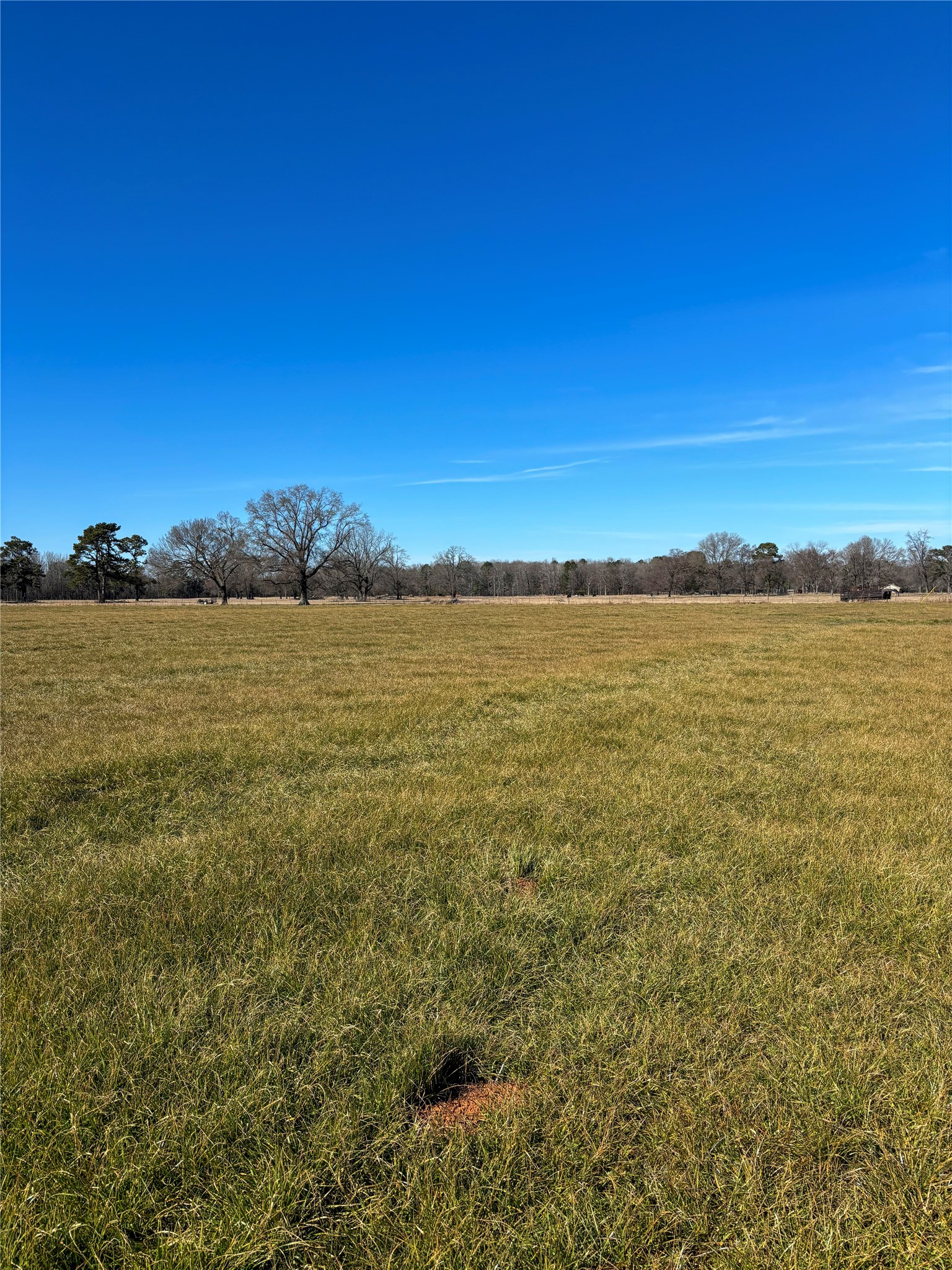 0 Highway 8 N New Boston TX 75570