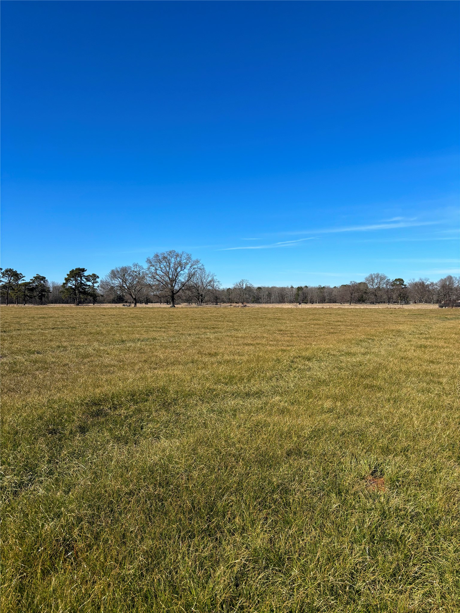 0 Highway 8 N New Boston TX 75570