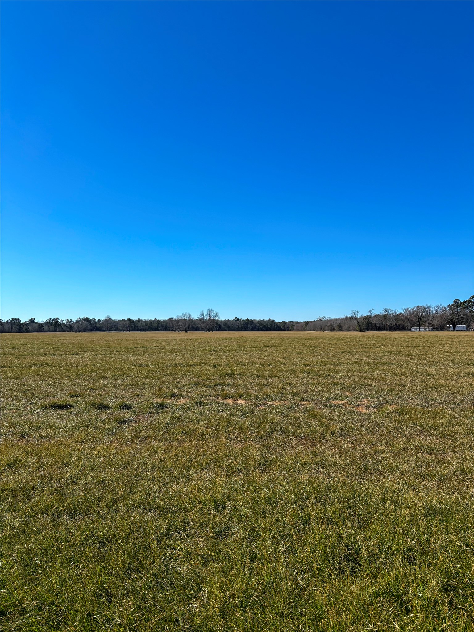 0 Highway 8 N New Boston TX 75570