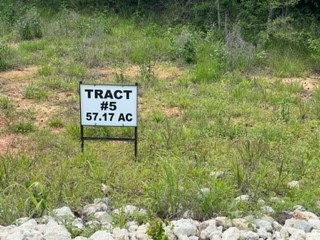 Tbd 5 Fm 1848 Buffalo TX 75831