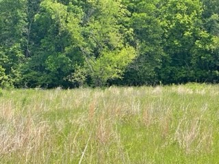 Tbd 5 Fm 1848 Buffalo TX 75831