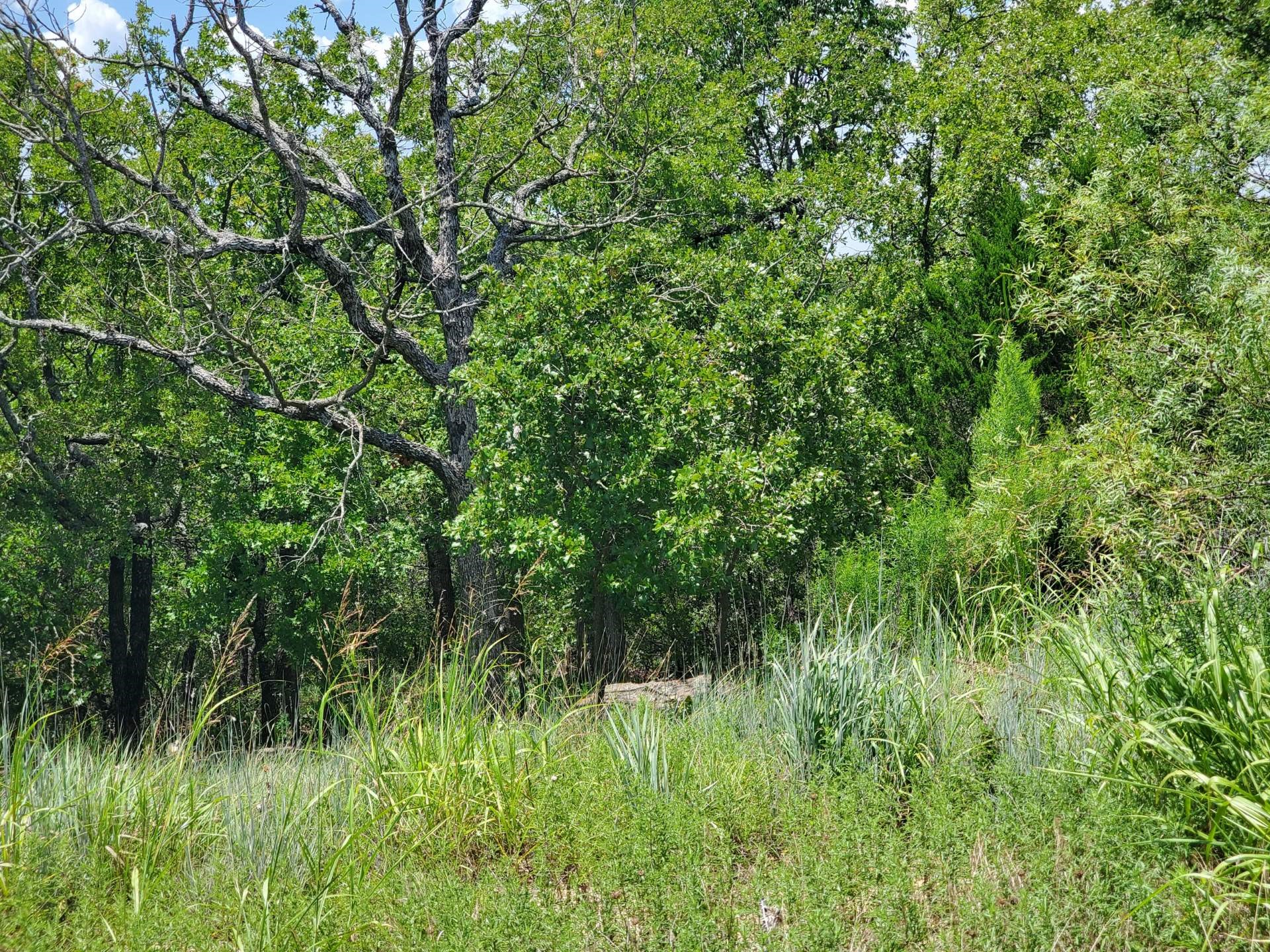 411 Mountain View Court Sunset TX 76270