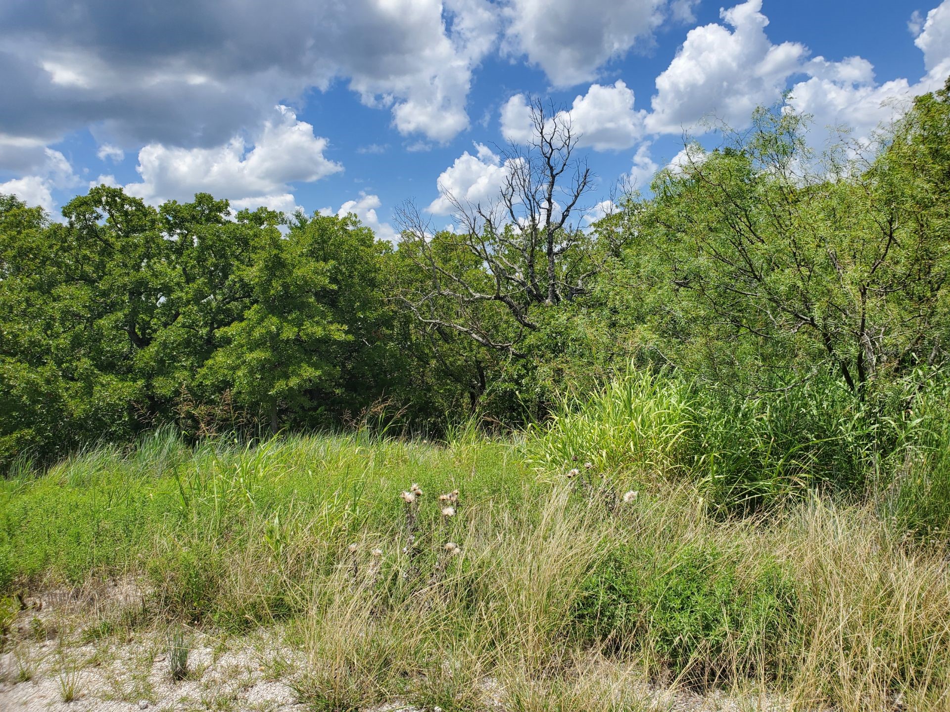 411 Mountain View Court Sunset TX 76270