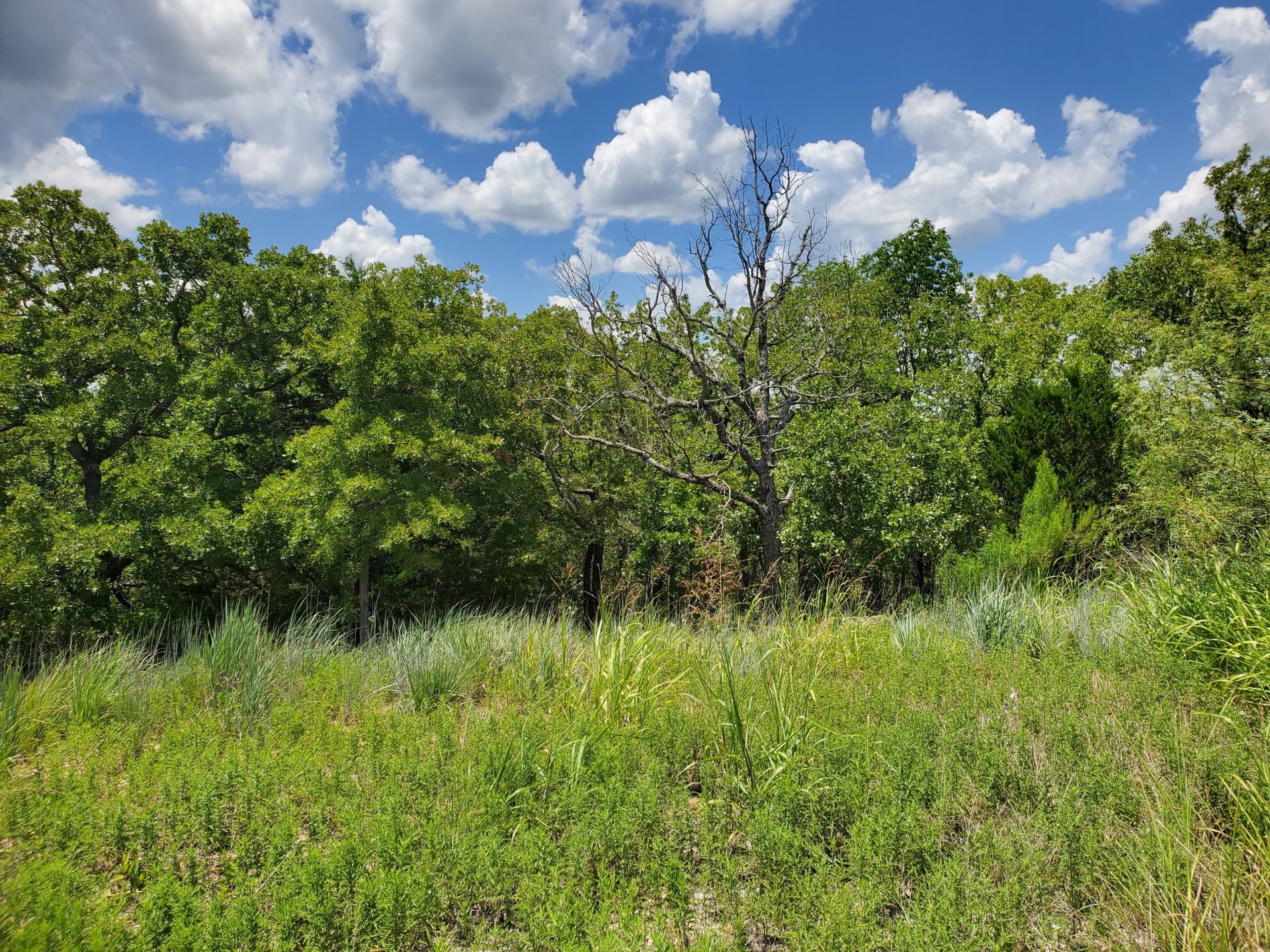 411 Mountain View Court Sunset TX 76270