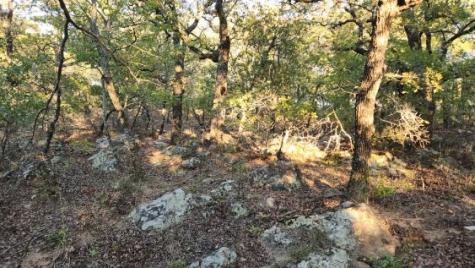 411 Mountain View Court Sunset TX 76270