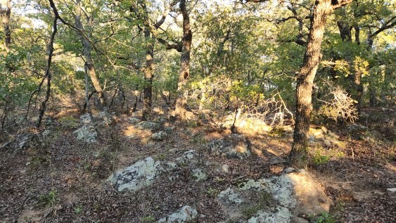 411 Mountain View Court Sunset TX 76270