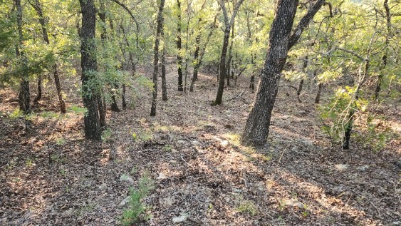 411 Mountain View Court Sunset TX 76270