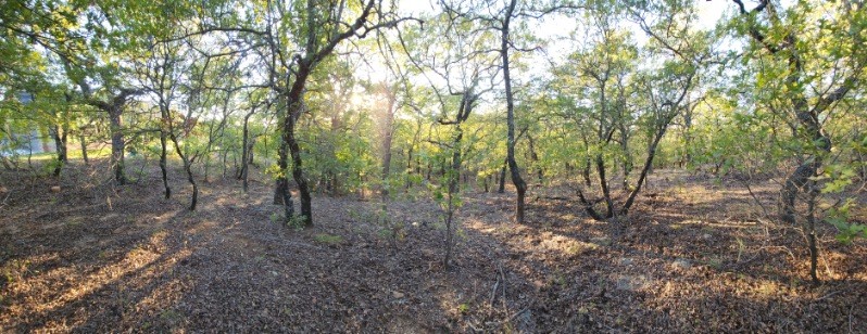 411 Mountain View Court Sunset TX 76270