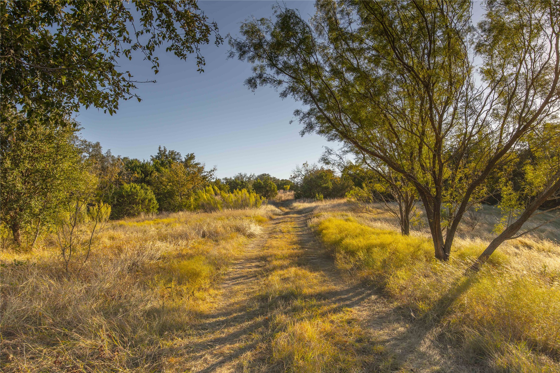 3270 Fm-573 Comanche TX 76442