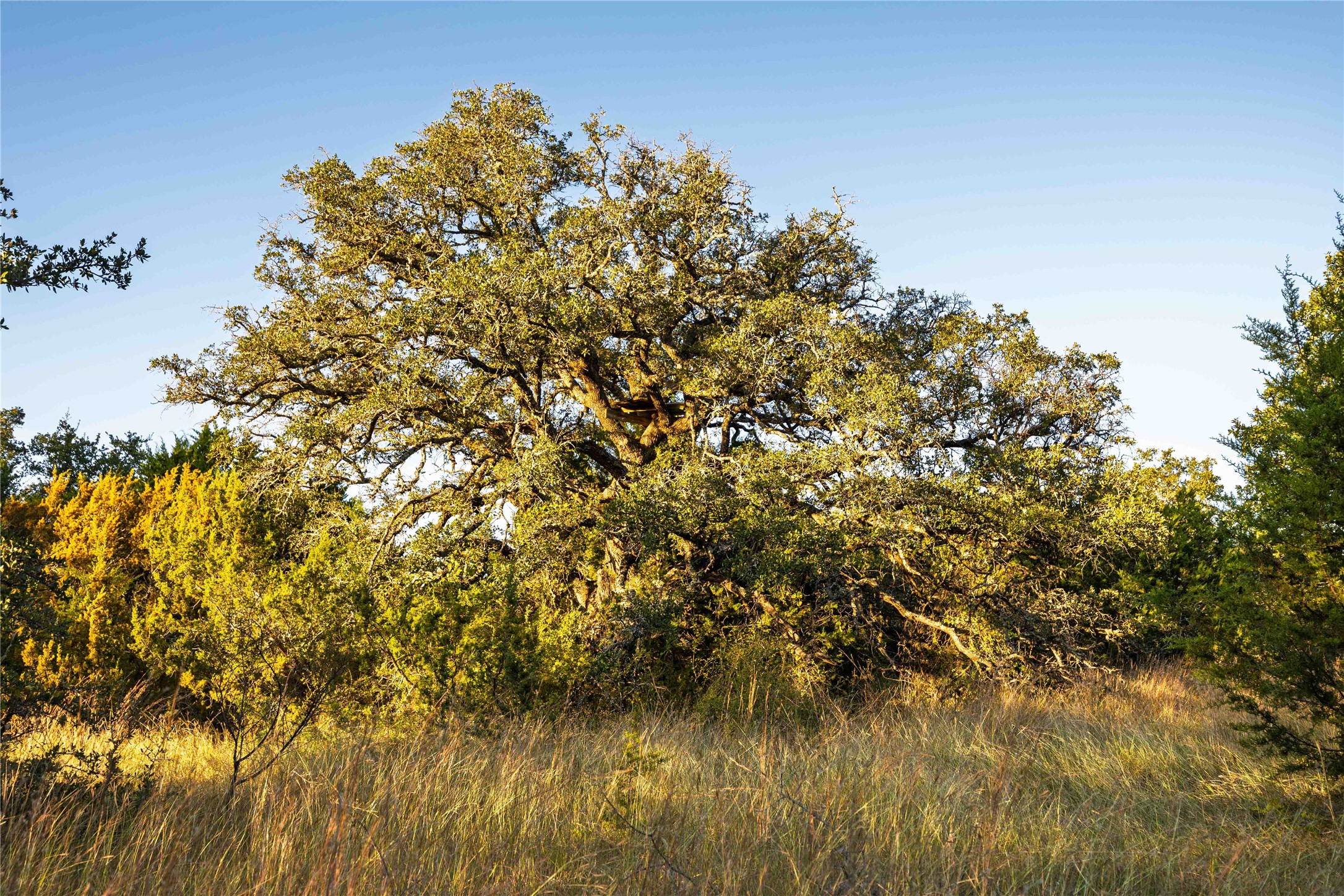 3270 Fm-573 Comanche TX 76442