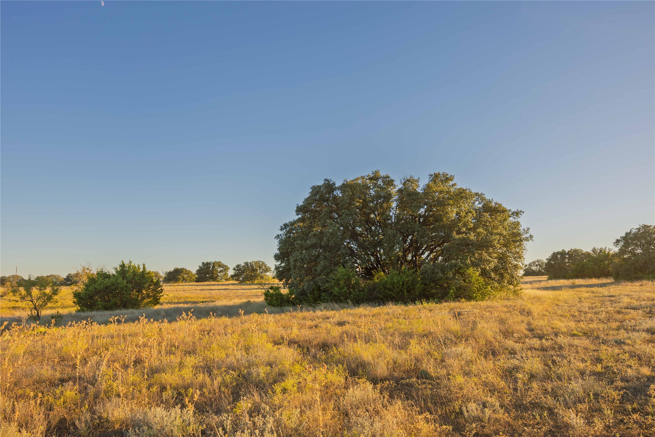 3270 Fm-573 Comanche TX 76442