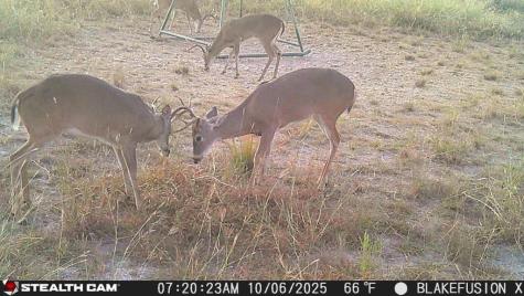 3270 Fm-573 Comanche TX 76442