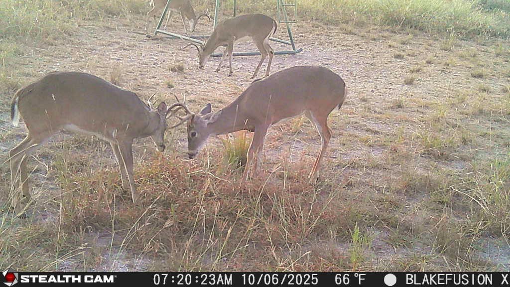 3270 Fm-573 Comanche TX 76442
