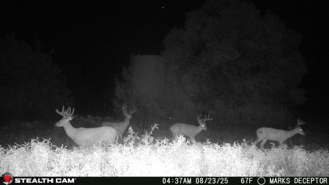 3270 Fm-573 Comanche TX 76442