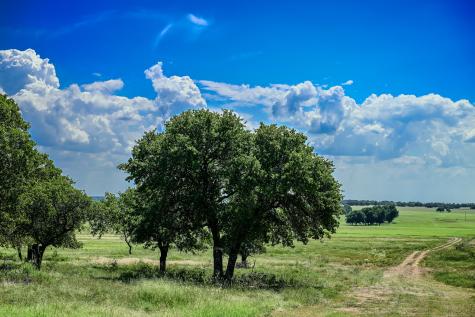 01 W Pleasant Valley Road Henrietta TX 76230