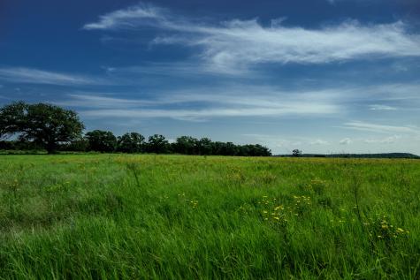 0001 W Pleasant Valley Road Henrietta TX 76230