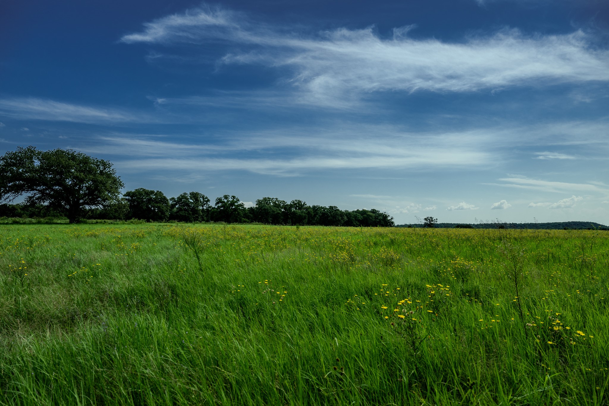 0001 W Pleasant Valley Road Henrietta TX 76230