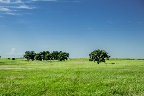 0001 W Pleasant Valley Road Henrietta TX 76230