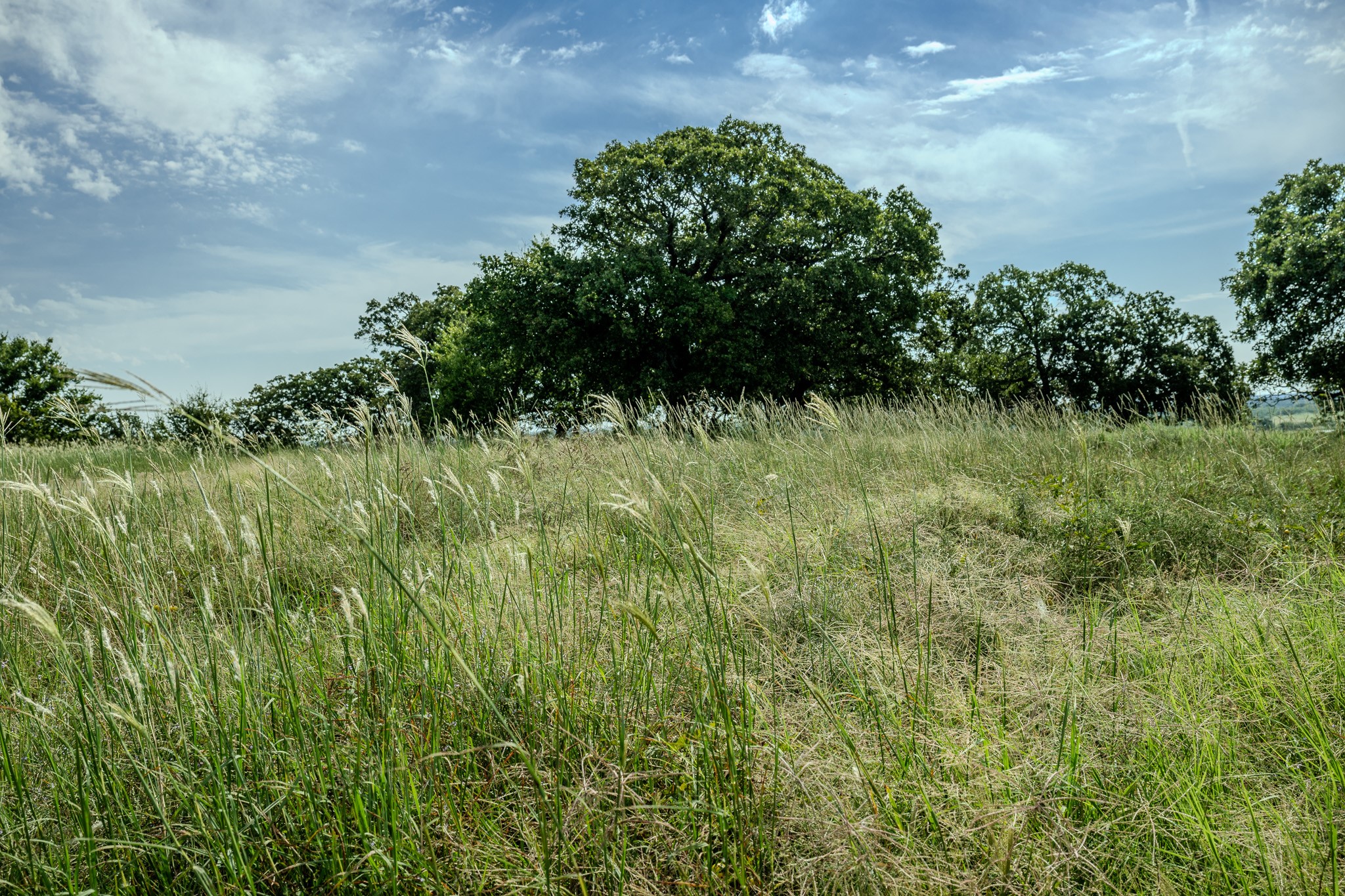 0001 W Pleasant Valley Road Henrietta TX 76230