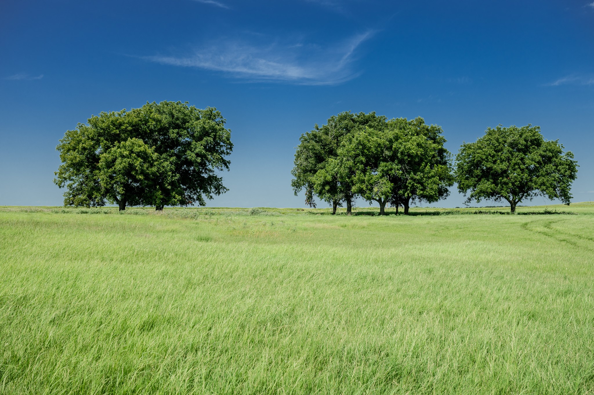 0001 W Pleasant Valley Road Henrietta TX 76230