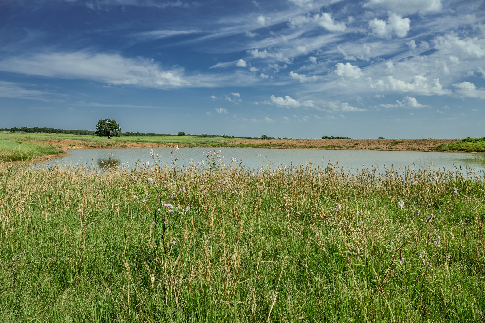 0001 W Pleasant Valley Road Henrietta TX 76230