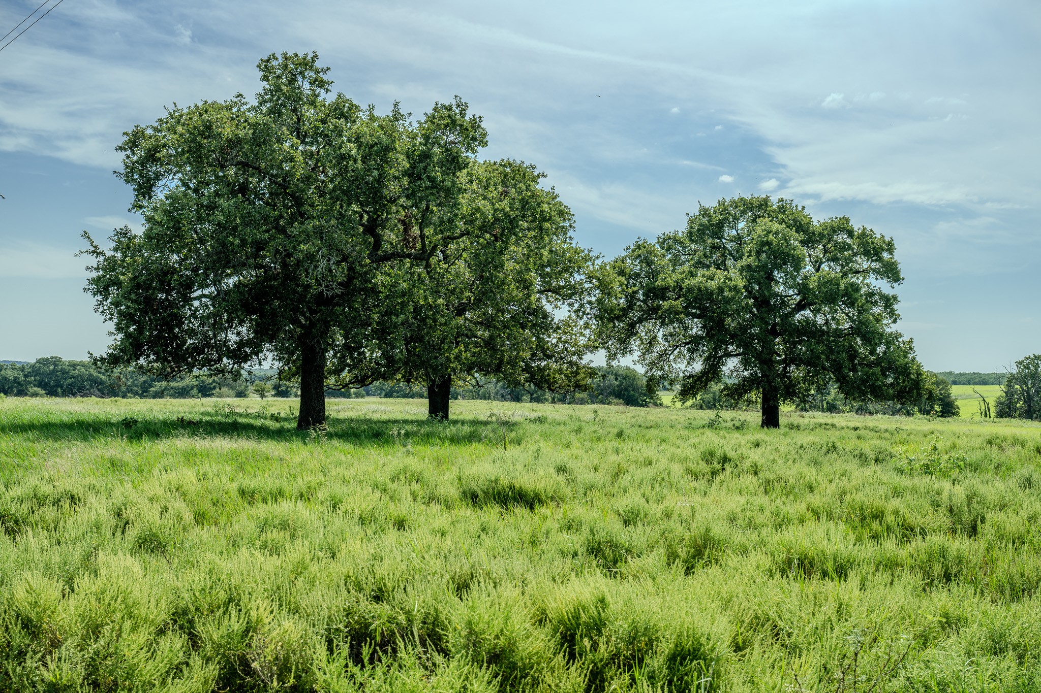 0001 W Pleasant Valley Road Henrietta TX 76230