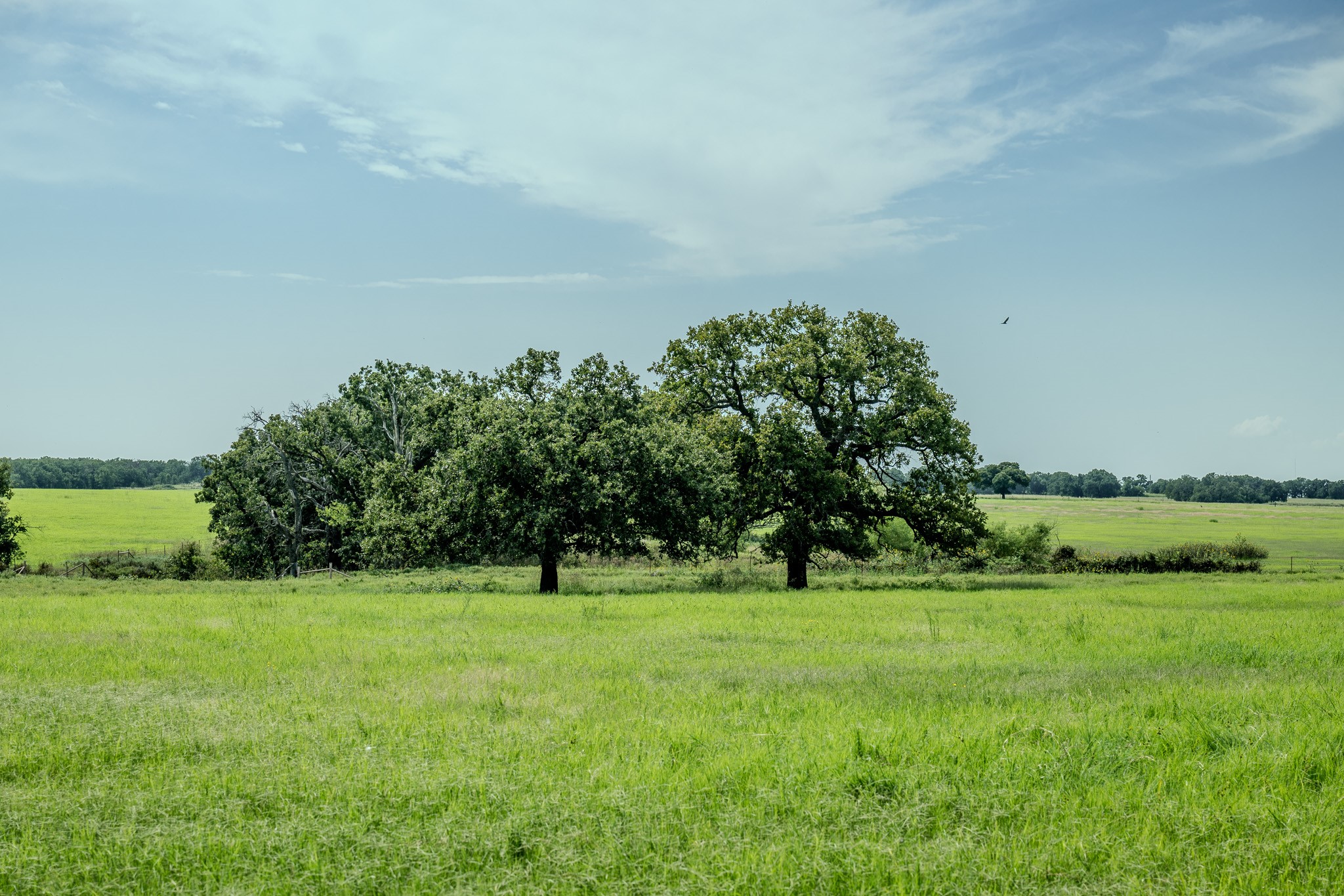 0001 W Pleasant Valley Road Henrietta TX 76230